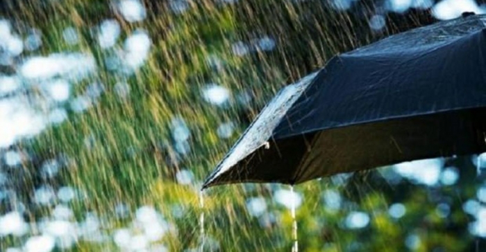 ছবি: ইন্টারনেট