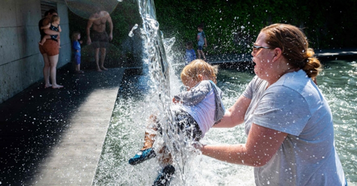 ছবি: ইন্টারনেট