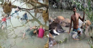 আজ সেই ভয়াল ২৯ এপ্রিল 