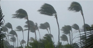 ঘূর্ণিঝড় জাওয়াদ, বৃষ্টি অব্যাহত ঘূর্ণিঝড় জাওয়াদ, বৃষ্টি অব্যাহত