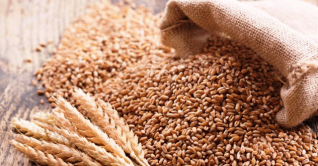 বাংলাদেশকে সর্বনিম্ন দামে গম সরবরাহের প্রস্তাব ভারতের বাংলাদেশকে সর্বনিম্ন দামে গম সরবরাহের প্রস্তাব ভারতের