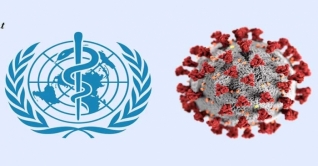 করোনাভাইরাস কোনো সিজন মানে না: বিশ্ব স্বাস্থ্য সংস্থা