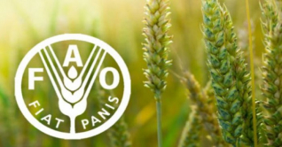 ক্ষুধার মুখোমুখি হওয়া মানুষের সংখ্যা বেড়ে ১৯ কোটি ৩০ লাখ