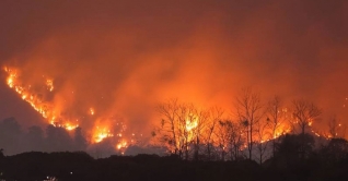 আলজেরিয়ায় ভয়াবহ দাবানলে ৪২ জনের প্রাণহানি