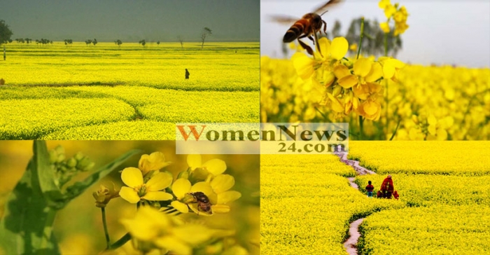 ছবি:উইমেননিউজ২৪