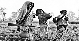 মুক্তিযোদ্ধার স্বীকৃতি পেলেন ১৭ নারী মুক্তিযোদ্ধার স্বীকৃতি পেলেন ১৭ নারী