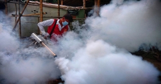 যেখানে ডেঙ্গু রোগী, সেখানেই চিরুনি অভিযান