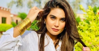 পাকিস্তানে বিমান দুর্ঘটনা, জনপ্রিয় মডেলের মৃত্যু