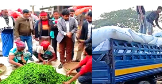 জাজিরার সবজি সুইজারল্যান্ডের পথে 