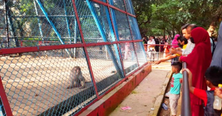 খাঁচায় বন্দি পশু দেখে উচ্ছ্বসিত শিশুরা খাঁচায় বন্দি পশু দেখে উচ্ছ্বসিত শিশুরা