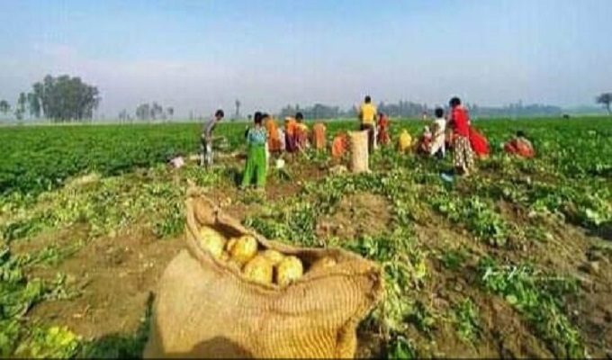 সংগৃহীত ছবি