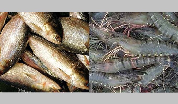 ফাইল ছবি।