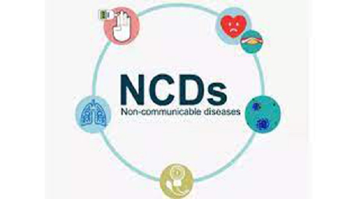 ফাইল ছবি।