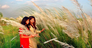 শরতের শুভ্রতায় সেজেছে কুমিল্লা বিশ্ববিদ্যালয় ক্যাম্পাস শরতের শুভ্রতায় সেজেছে কুমিল্লা বিশ্ববিদ্যালয় ক্যাম্পাস