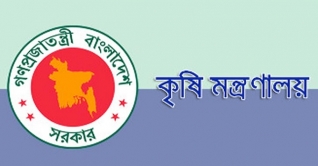 টেকনাফে আসা পোকা নিয়ে আতঙ্কের কিছু নেই: কৃষি মন্ত্রণালয়