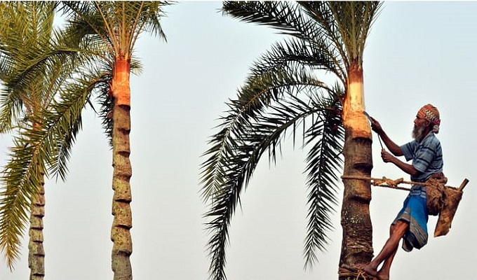 প্রতীকী ছবি