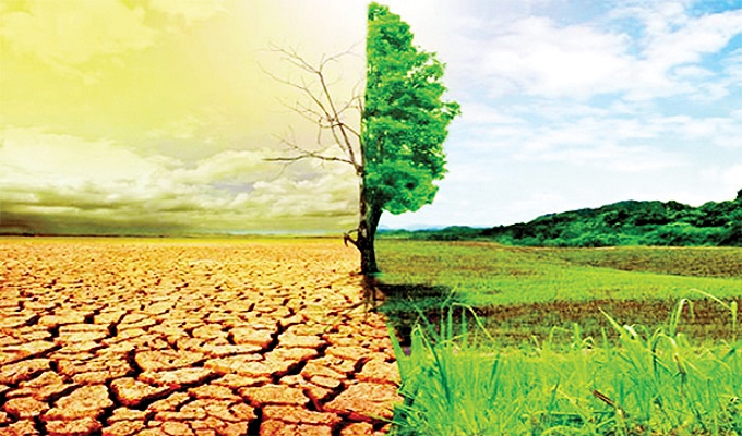 প্রতীকী ছবি