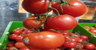 আপনার বয়স রুখে দেবে যে ৭টি খাবার আপনার বয়স রুখে দেবে যে ৭টি খাবার