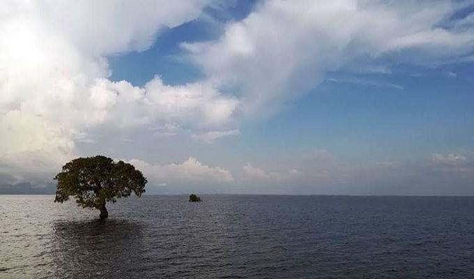 টাঙ্গুয়ার হাওড়ের ছবি তুলেছেন লেখক।