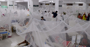 একদিনে হাসপাতালে আরো ৩২ ডেঙ্গু রোগী একদিনে হাসপাতালে আরো ৩২ ডেঙ্গু রোগী