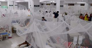 ডেঙ্গুতে আরও ১২ জনের প্রাণহানী