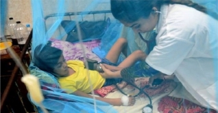 সারা দেশের হাসপাতালে ১৩১৬ ডেঙ্গু রোগী ভর্তি