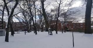 ভয়ঙ্কর তুষারঝড় মোকাবেলায় প্রস্তুত যুক্তরাষ্ট্র