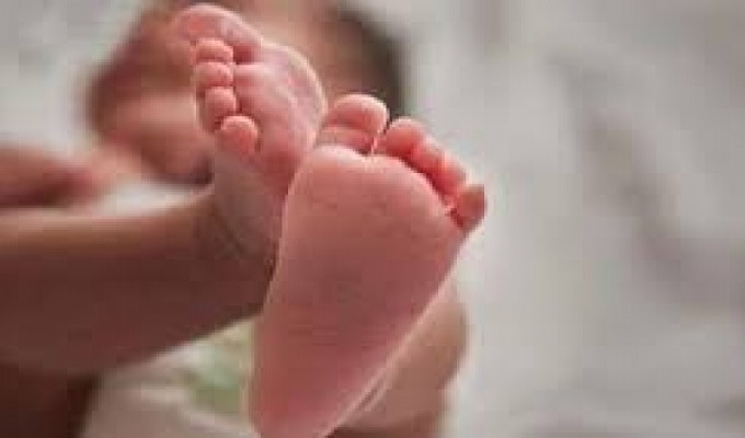 ফাইল ছবি