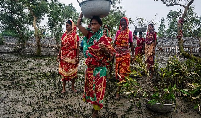 ফাইল ছবি।