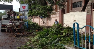 বুলবুলের তাণ্ডবে লন্ডভন্ড দক্ষিণ ২৪ পরগনা বুলবুলের তাণ্ডবে লন্ডভন্ড দক্ষিণ ২৪ পরগনা