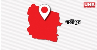 বোনের লাশ বাড়িতে এনে মাকে মৃত পেলেন