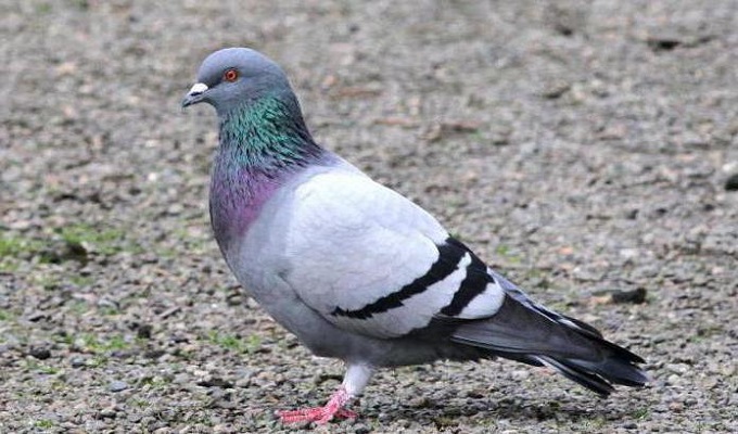 প্রতীকী ছবি