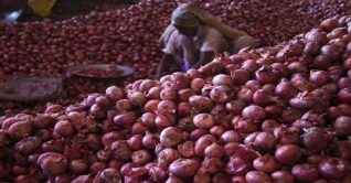 ফরিদপুরে পেঁয়াজের দাম কমেছে