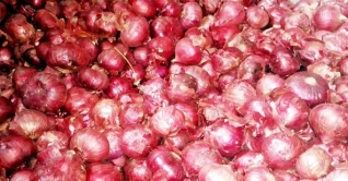 পেঁয়াজের দাম বাড়ছে লাফিয়ে লাফিয়ে