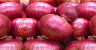 দ্রুত পেঁয়াজের মূল্য স্বাভাবিক হবে