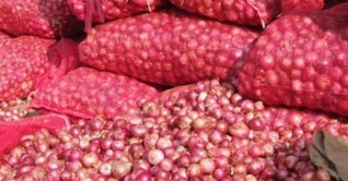 পেঁয়াজ আসছে ইউরোপের ৪ দেশ থেকে