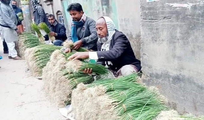 জয়পুরহাট জেলার পাঁচবিবি বাজারে দুদিন শুক্রবার ও মঙ্গলবার হাটের দিন পাইকারী ও খুচরা ভাবে বিক্রয় হচ্ছে উন্নতজাতের পেঁয়াজের চারা।