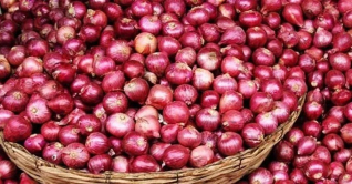 গ্রীষ্মকালীন পেঁয়াজের উৎপাদন বাড়াতে ১৬ কোটি টাকার প্রণোদনা