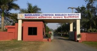 করোনার নমুনা পরীক্ষা শুরু করেছে প্রাণিসম্পদ ইনস্টিটিউট