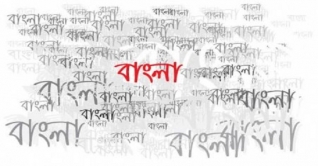 বাংলা ভাষার অপচর্চা, ভবিষ্যতের অশনি সংকেত