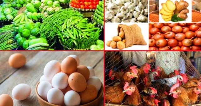 ফাইল ছবি।