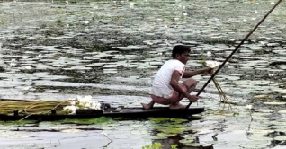 জীব বৈচিত্রে সমৃদ্ধ গোপালগঞ্জের চান্দা বিল