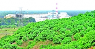 সীতাকুণ্ডে ৯০ প্রজাতির আড়াই লাখ গাছের এক অরণ্য
