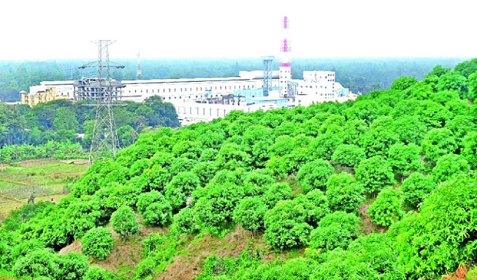 সংগৃহীত ছবি