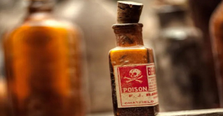 ছাগলের মৃত্যুর প্রতিশোধ! একাধিক পশু-পাখি হত্যা