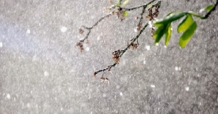 দেশের দক্ষিণাঞ্চলে ভারী বৃষ্টির সম্ভাবনা দেশের দক্ষিণাঞ্চলে ভারী বৃষ্টির সম্ভাবনা