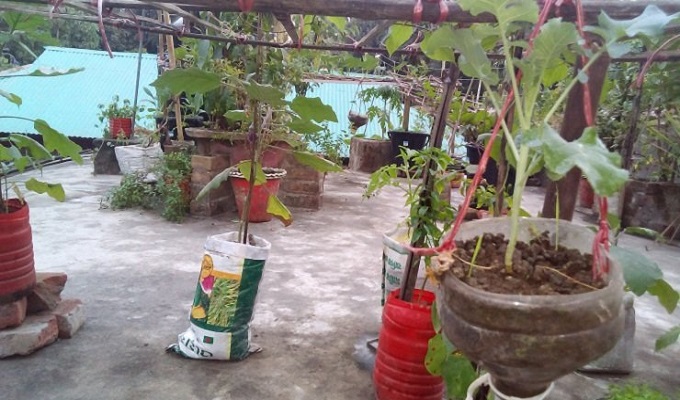 সংগৃহীত ছবি