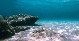 সমুদ্রের গভীরে অজানা গর্জন, রহস্যের নেপথ্যে কি ব্লুপ?