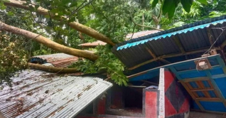 সিত্রাংয়ের আঘাতে ভোলায় ৮ হাজার ঘরবাড়ি বিধ্বস্ত