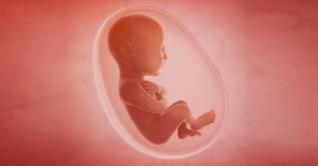 কন্যাশিশু দিবস: চলছে কন্যাশিশুর ভ্রূণ হত্যা